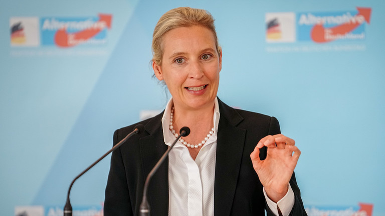 Nghị sĩ Alice Weidel y&ecirc;u cầu Ukraine bồi thường thiệt hại từ vụ ph&aacute; hủy Nord Stream. Ảnh: RT