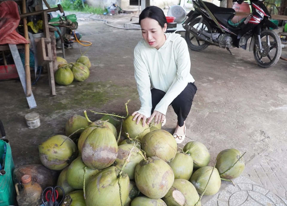 Dừa s&aacute;p được d&ugrave;ng nhiều v&agrave;o chế biến thực phẩm, dược phẩm v&agrave; mỹ phẩm. Ngo&agrave;i ra, dừa s&aacute;p c&ograve;n được d&ugrave;ng để chế biến nhiều loại nước giải kh&aacute;t.&nbsp;