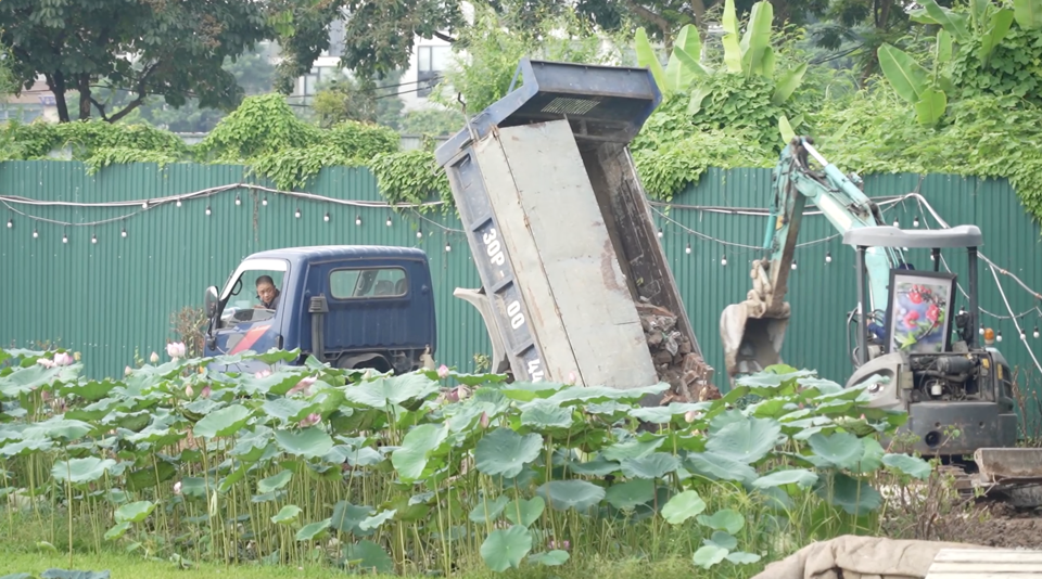 Xe tải, m&aacute;y x&uacute;c được huy động tham gia việc san lấp tr&aacute;i ph&eacute;p hồ Đầu Đồng.