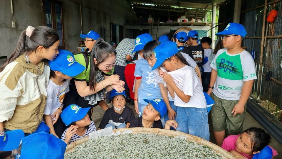 C&aacute;c em học sinh t&igrave;m hiểu về nghề trồng d&acirc;u, nu&ocirc;i tằm.