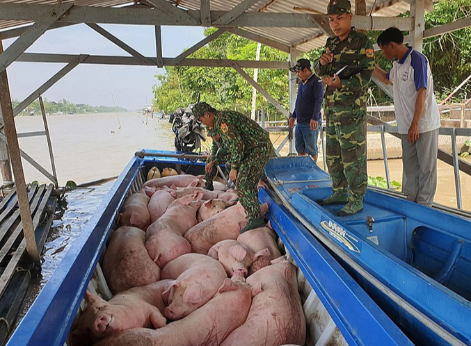 Gi&aacute; heo hơi h&ocirc;m nay 24/8: lặng s&oacute;ng tr&ecirc;n cả ba miền. Ảnh minh họa.