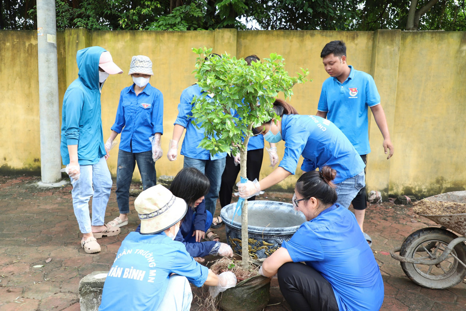 Đo&agrave;n vi&ecirc;n Huyện đo&agrave;n Thường T&iacute;n trống c&acirc;y xanh ở c&aacute;c tuyến đường