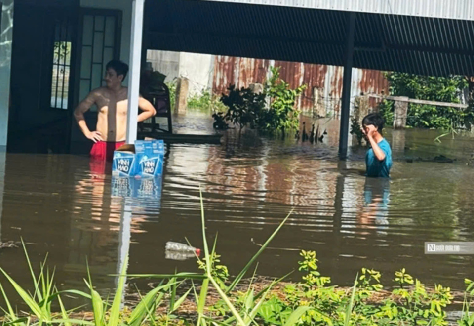 Lượng mưa lớn từ ng&agrave;y 27/8&nbsp;khiến cho h&agrave;ng trăm ng&ocirc;i nh&agrave; bị ngập lụt.