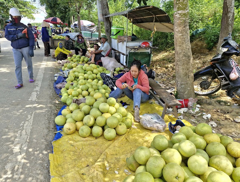 M&ugrave;a thu hoạch "đặc sản" bưởi Ph&uacute;c Trạch lu&ocirc;n rộn r&agrave;ng, mang đến nhiều niềm vui cho người d&acirc;n v&agrave; thương l&aacute;i khi đến với v&ugrave;ng đất Hương Kh&ecirc;