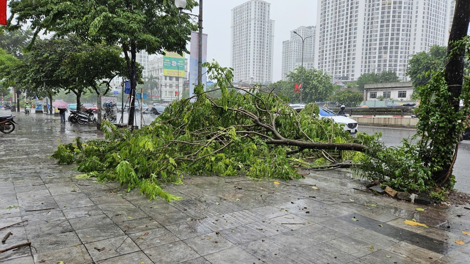 Hà Nội: mưa to, gió lớn gây đổ cây, ngập nhẹ tại một số tuyến phố - Ảnh 12