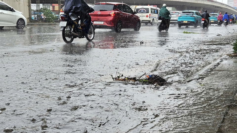 Hà Nội: mưa to, gió lớn gây đổ cây, ngập nhẹ tại một số tuyến phố - Ảnh 9