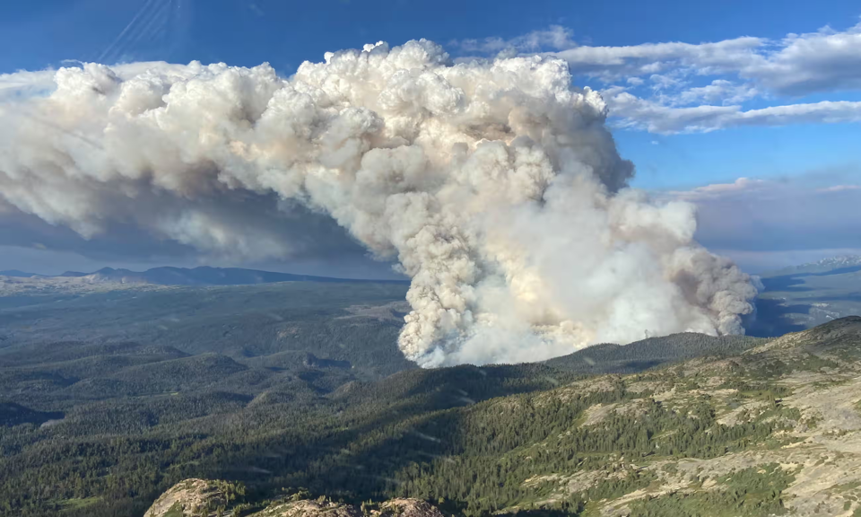 Ch&aacute;y rừng khiến Canada lọt top những quốc gia ph&aacute;t thải carbon nhiều nhất thế giới. Ảnh: Getty image