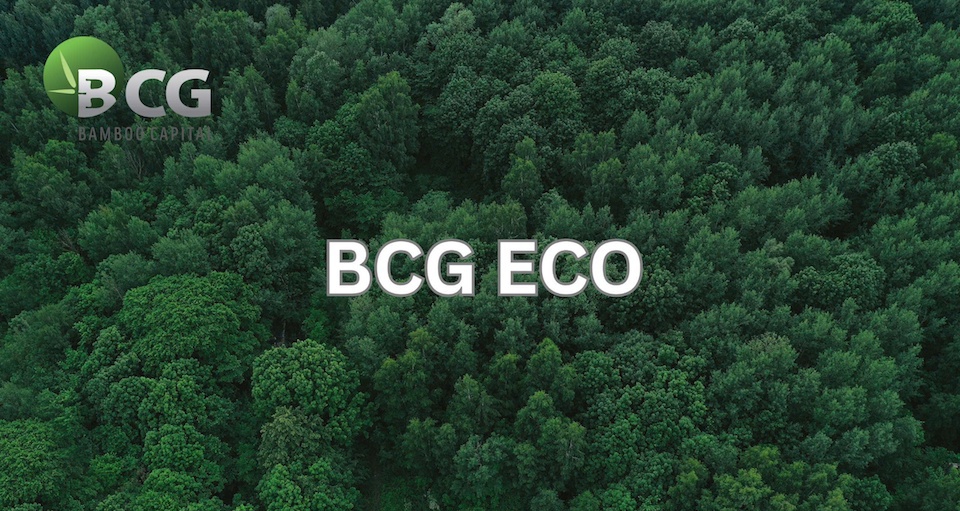 Th&agrave;nh lập BCG Eco l&agrave; một phần quan trọng trong chiến lược d&agrave;i hạn của Bamboo Capital, nhằm th&uacute;c đẩy ph&aacute;t triển bền vững v&agrave; tạo ra gi&aacute; trị l&acirc;u d&agrave;i cho cổ đ&ocirc;ng, đối t&aacute;c v&agrave; cộng đồng.