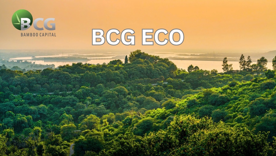 BCG Eco - c&ocirc;ng ty chuy&ecirc;n về trồng v&agrave; chăm s&oacute;c rừng.