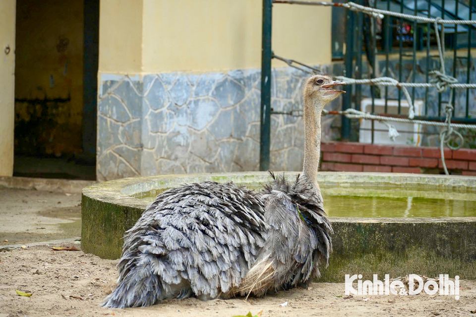 Nghỉ lễ Quốc Khánh: Người dân Thủ đô nườm nượp đến các địa điểm vui chơi - Ảnh 13