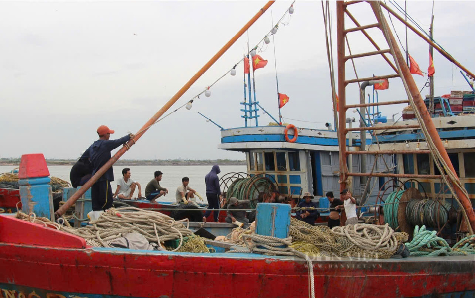 T&agrave;u c&aacute; neo đậu tại cảng c&aacute; Ninh Cơ, huyện Hải Hậu, tỉnh Nam Định. Ảnh: L&atilde;ng Hồng.