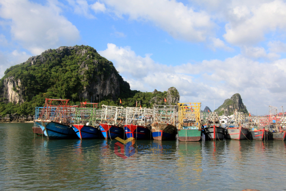 Tỉnh Quảng Ninh chủ động ứng ph&oacute; với cơn b&atilde;o số 3.