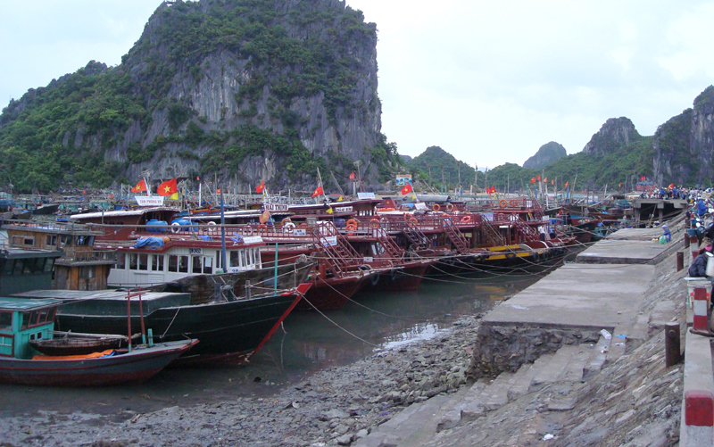 C&aacute;c phương tiện đ&aacute;nh bắt v&agrave;o khu vực tr&aacute;nh tr&uacute; b&atilde;o an to&agrave;n.