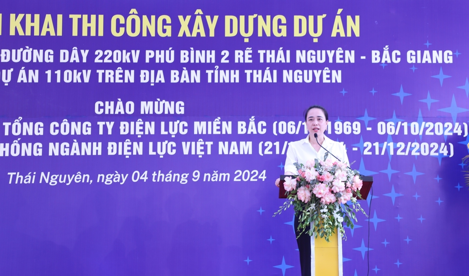 B&agrave; Đỗ Nguyệt &Aacute;nh - B&iacute; thư Đảng ủy, Chủ tịch HĐTV Tổng c&ocirc;ng ty Điện lực miền Bắc