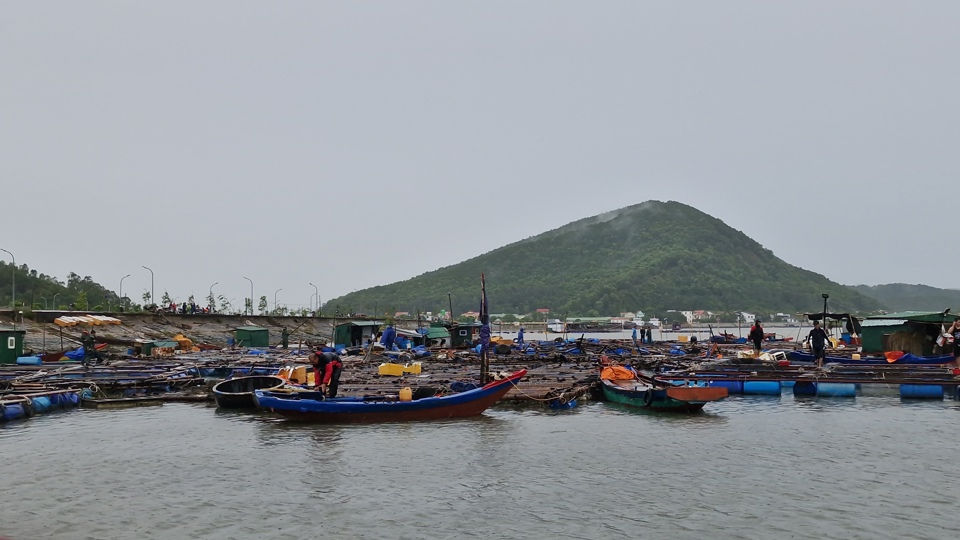 Tại hai x&atilde; Nghi Thiết v&agrave; Nghi Quang, huyện Nghi Lộc, c&oacute; 47 lồng b&egrave; c&aacute; đ&atilde; được địa phương c&ugrave;ng người d&acirc;n di chuyển, chằng n&eacute;o.&nbsp;