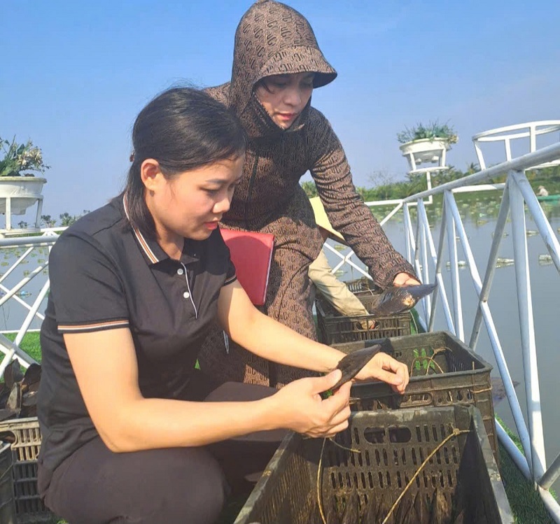 Người d&acirc;n v&ugrave;ng ven biển tỉnh H&agrave; Tĩnh chủ động triển khai c&aacute;c phương &aacute;n đảm bảo an to&agrave;n trong nu&ocirc;i trồng thủy sản