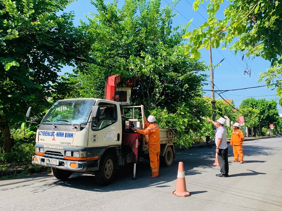 PC Ninh B&igrave;nh tổ chức chặt tỉa, ph&aacute;t quang h&agrave;nh lang lưới điện trước khi b&aacute;o số 3 đổ bộ v&agrave;o đất liền