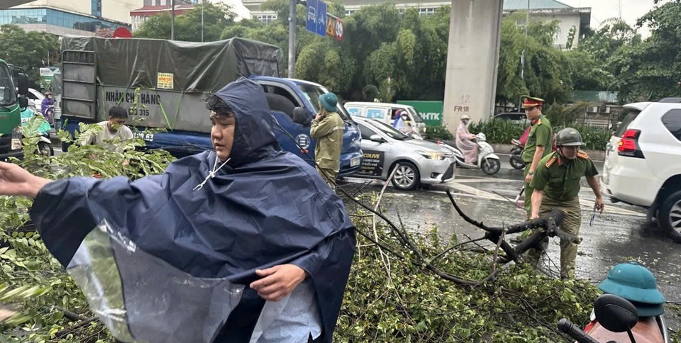 C&aacute;n bộ chiến sỹ C&ocirc;ng an phường Thanh Xu&acirc;n Bắc nhanh ch&oacute;ng c&oacute; mặt tại hiện trường kịp thời xử l&yacute; c&acirc;y đổ do b&atilde;o