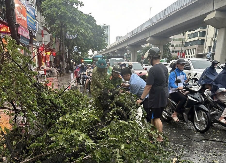 C&ocirc;ng an phường Thanh Xu&acirc;n Bắc phối hợp với c&aacute;c lực lượng chức năng v&agrave; Nh&acirc;n d&acirc;n xử l&yacute; c&acirc;y đổ