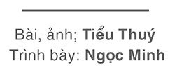 Đấu giá đất để đầu cơ, đẩy giá: chế tài chưa đủ răn đe? - Ảnh 11