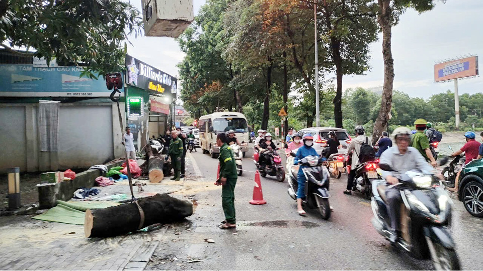 Lực lượng chức năng thu dọn c&acirc;y đổ v&agrave; ph&acirc;n luồng giao th&ocirc;ng tại hiện trường vụ tai nạn.