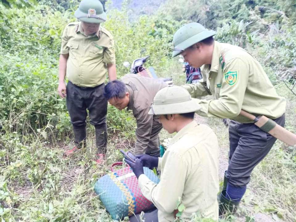 Việc giữ vững v&agrave; ph&aacute;t triển hệ sinh th&aacute;i rừng l&agrave; điều hết sức gian nan, c&ocirc;ng t&aacute;c bảo vệ rừng phải c&oacute; sự v&agrave;o cuộc chung từ người d&acirc;n v&agrave; ch&iacute;nh quyền.