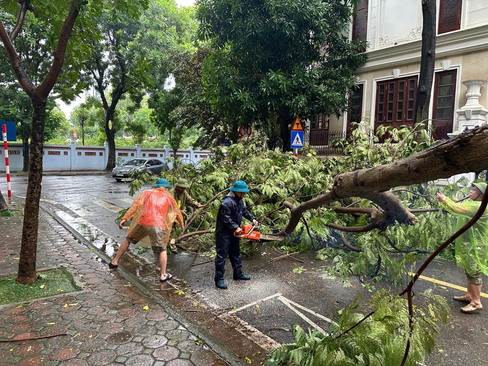 C&aacute;c lực lượng chức năng Nam Từ Li&ecirc;m dọn c&acirc;y đổ tr&ecirc;n địa b&agrave;n