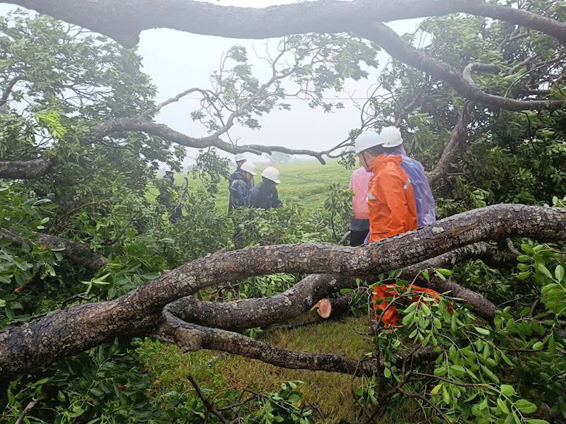 EVNHANOI không cắt điện, sẵn sàng ứng phó với mọi tình huống trong mưa bão - Ảnh 1