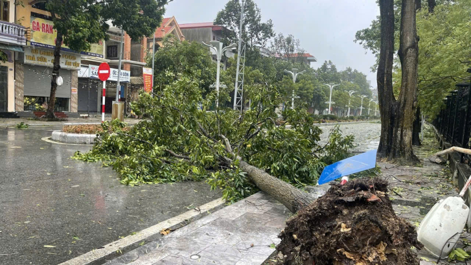 Mưa v&agrave; gi&oacute; rất lớn, tại U&ocirc;ng B&iacute;, nhiều c&acirc;y đổ.