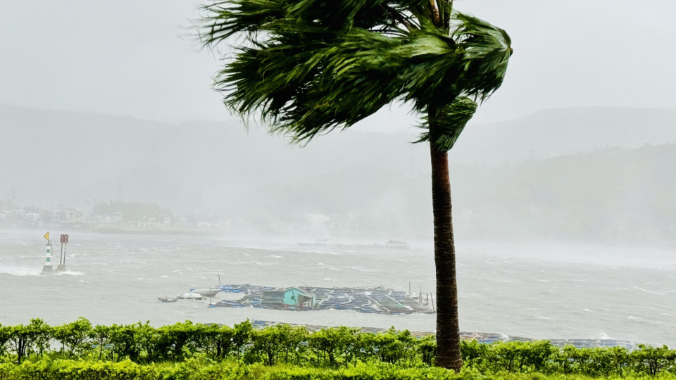 B&egrave; nu&ocirc;i trồng thủy sản của người d&acirc;n bị s&oacute;ng, gi&oacute; đ&aacute;nh tr&ocirc;i dạt tại cầu 1 V&acirc;n Đồn.