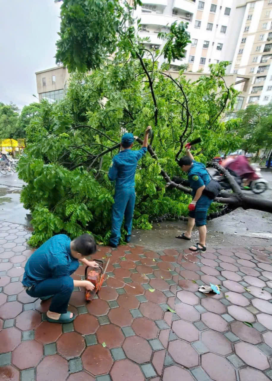 B&atilde;o đ&atilde; l&agrave;m đổ 337 c&acirc;y xanh tr&ecirc;n địa b&agrave;n quận Ho&agrave;ng Mai. Ảnh TA