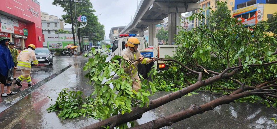 Cảnh s&aacute;t giao th&ocirc;ng xử l&yacute;, dọn dẹp c&acirc;y đổ tr&ecirc;n đường Trần Ph&uacute;, quận H&agrave; Đ&ocirc;ng.