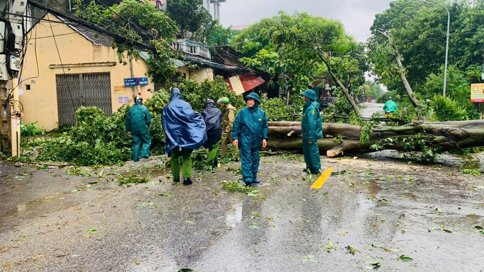 Lực lượng chức năng xử l&yacute; c&acirc;y xanh đổ tại đường B&atilde;i Th&aacute;p, x&atilde; Đồng Th&aacute;p, huyện Đan Phượng.