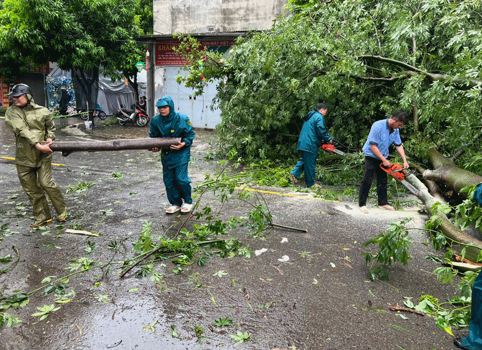 C&aacute;c lực lượng cắt c&acirc;y th&ocirc;ng tuyến&nbsp;đường Ho&agrave;ng C&ocirc;ng, phường Kiến Hưng. Th&ocirc;ng tin từ tổ d&acirc;n phố 25, tuyến&nbsp;đường n&agrave;y&nbsp;đến chiều tối nay c&oacute; 4 c&acirc;y to đổ.