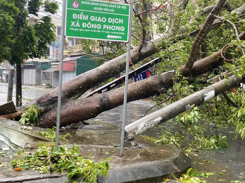 Siêu bão quần thảo Quảng Ninh, Hải Phòng, Hải Dương, Hà Nội gió lên cấp 10 - Ảnh 8