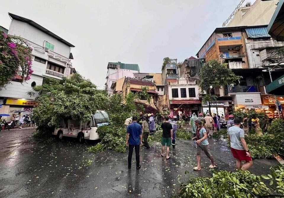 Mưa to gi&oacute; lớn l&agrave;m g&atilde;y, đổ hơn 400 c&acirc;y xanh.