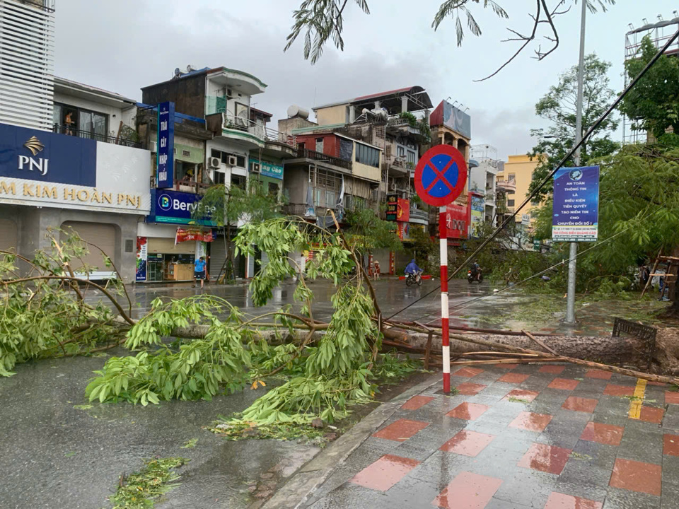 Hải Ph&ograve;ng bị b&atilde;o số 3 c&agrave;n qu&eacute;t. Ảnh: Ng&ocirc; Quang Dũng/B&aacute;o Nh&acirc;n d&acirc;n