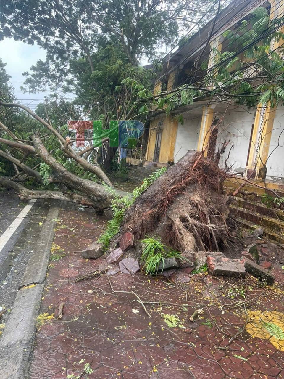 B&atilde;o quần thảo ở Hải Ph&ograve;ng.