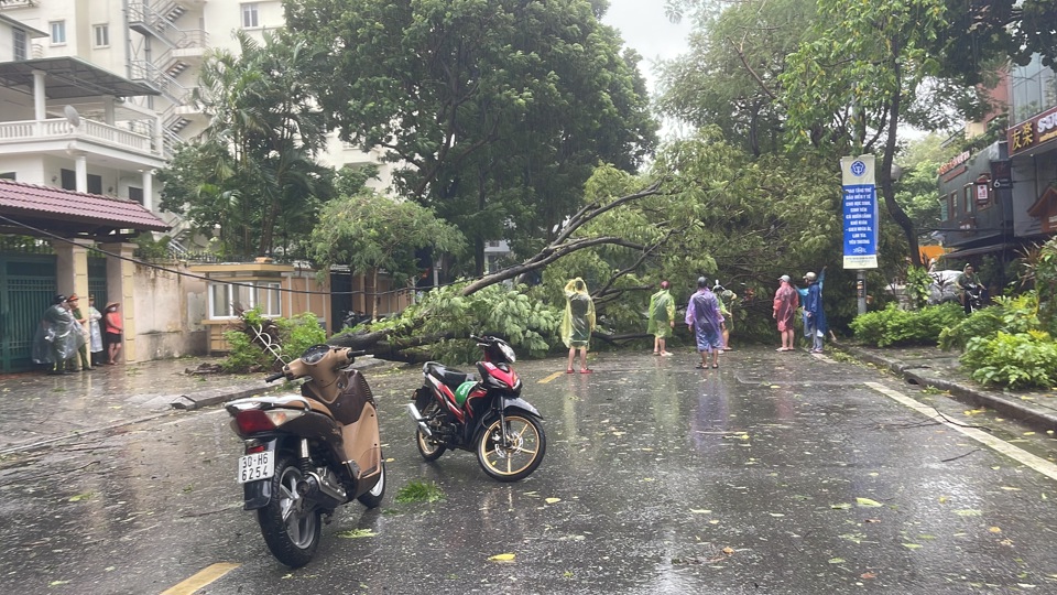 Lực lượng chức năng tổ chức khắc phục sự cố c&acirc;y xanh đổ gẫy tr&ecirc;n phố Vạn Ph&uacute;c (quận Ba Đ&igrave;nh).