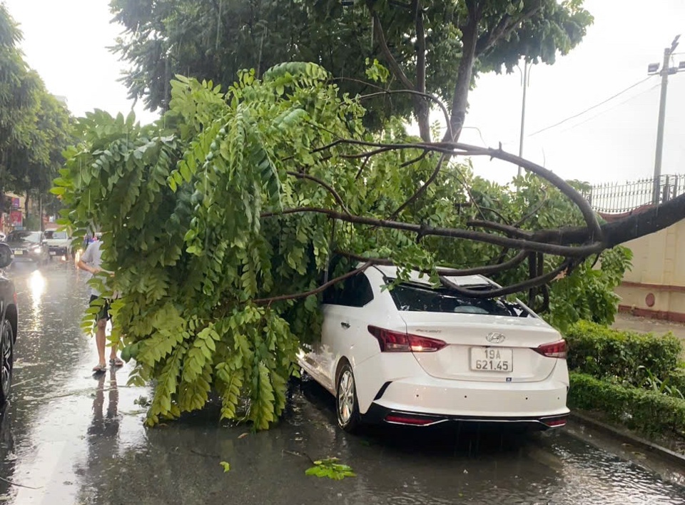 Mưa b&atilde;o khiến c&acirc;y đổ tr&ecirc;n địa b&agrave;n phường Khương Mai (quận Thanh Xu&acirc;n)