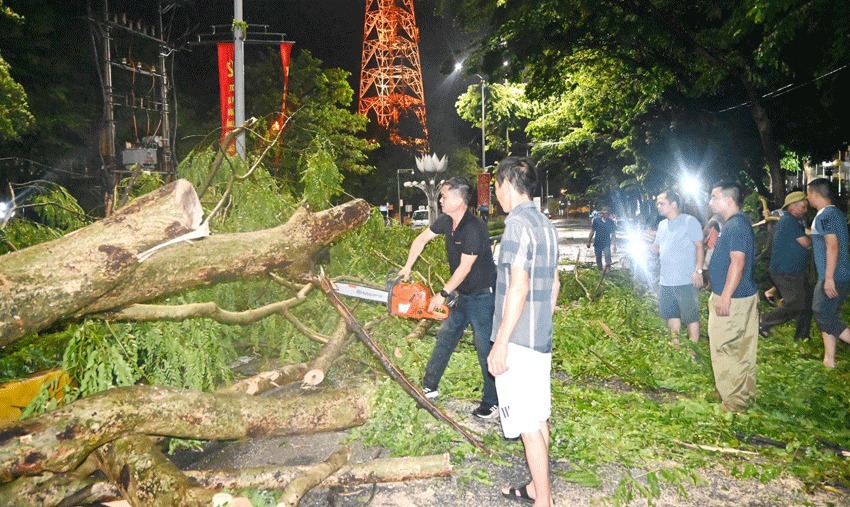 Mưa lớn k&egrave;m theo gi&oacute; lốc l&agrave;m g&atilde;y đổ 195 c&acirc;y xanh tr&ecirc;n địa b&agrave;n th&agrave;nh phố Vĩnh Y&ecirc;n. Ảnh: Quang Minh.&nbsp;