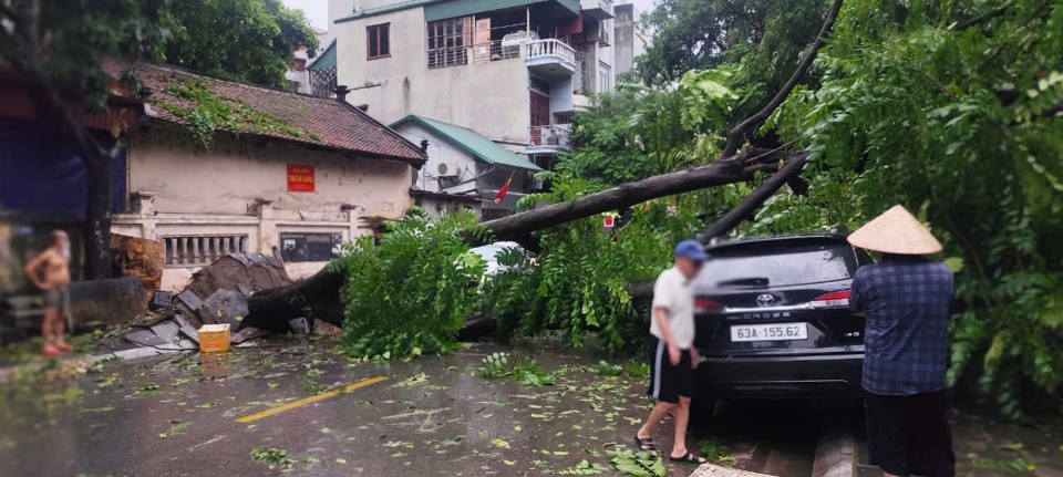 C&acirc;y bật gốc tại phố Thụy Khu&ecirc;, T&acirc;y Hồ.