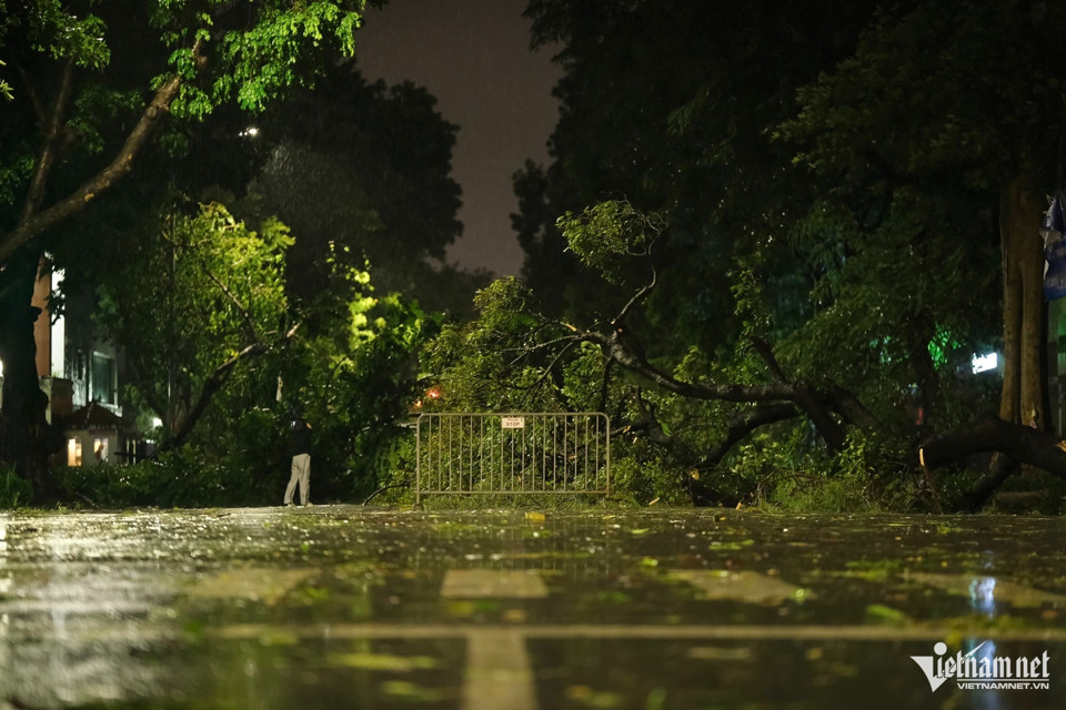 Phố B&agrave; Triệu (quận Ho&agrave;n Kiếm) bị phong tỏa ho&agrave;n to&agrave;n khi rất nhiều c&acirc;y lớn c&ugrave;ng bị g&atilde;y đổ. Ảnh: H&ugrave;ng Nguyễn/VietNamNet