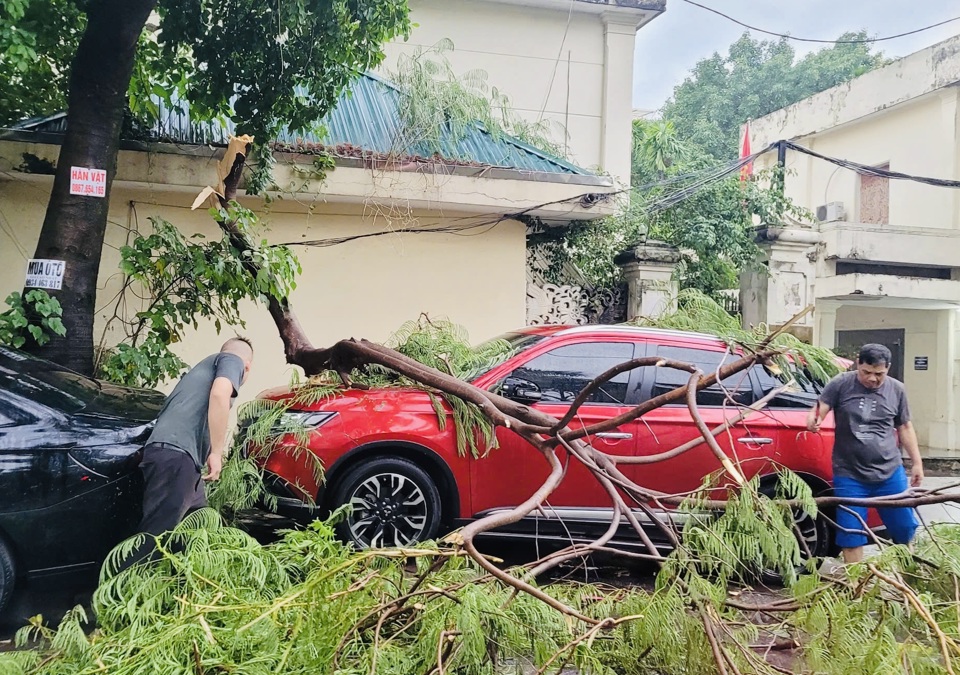 C&acirc;y xanh g&atilde;y đổ đ&egrave; l&ecirc;n xe &ocirc; t&ocirc; của người d&acirc;n tr&ecirc;n phố Ho&agrave;ng Cầu.