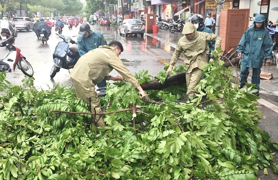 Lực lượng d&acirc;n qu&acirc;n phường &Ocirc; Chợ Dừa khắc phục sự cố c&acirc;y xanh g&atilde;y đổ do mưa b&atilde;o.