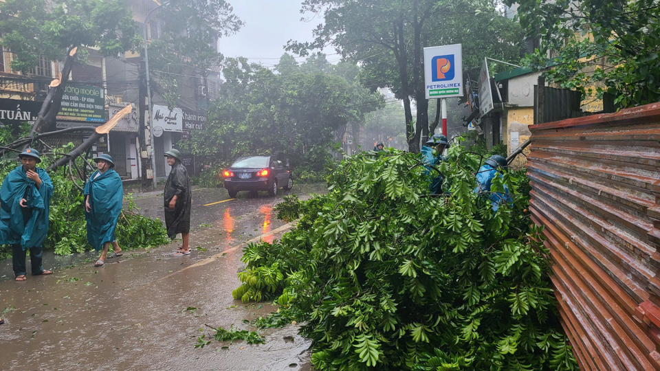 Lực lượng chức năng huyện Thường T&iacute;n kịp thời c&oacute; mặt xử l&yacute; c&acirc;y xanh bị g&atilde;y đổ do b&atilde;o số 3 g&acirc;y ra để giải ph&oacute;ng th&ocirc;ng đường