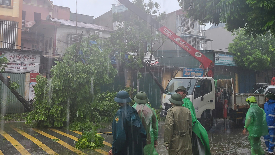 Nhiều c&acirc;y xanh bị g&atilde;y đỗ đ&atilde; được huyện thường T&iacute;n xử l&yacute; kịp thời khi b&atilde;o số 3 đang diễn ra khốc liệt