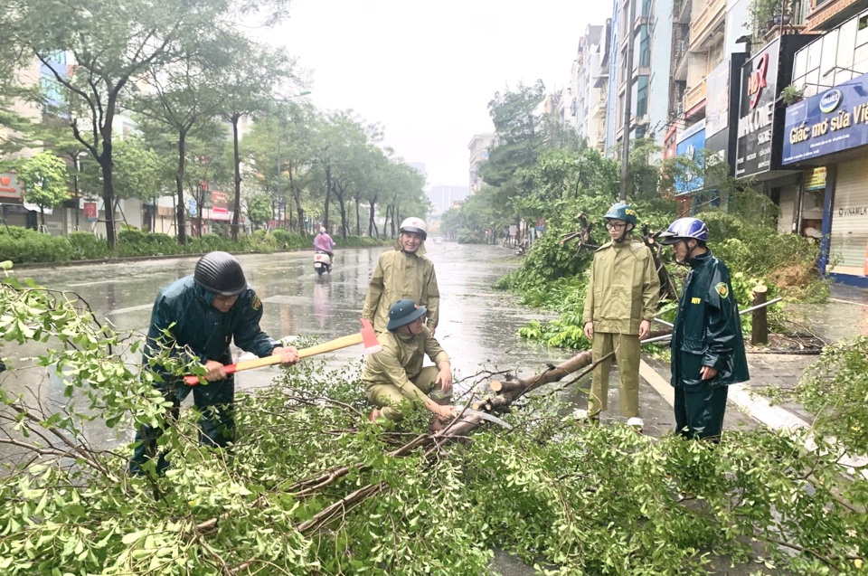 Lực lượng chức năng quận Đống Đa khắc phục sự cố c&acirc;y g&atilde;y đổ tr&ecirc;n phố Nam Đồng.