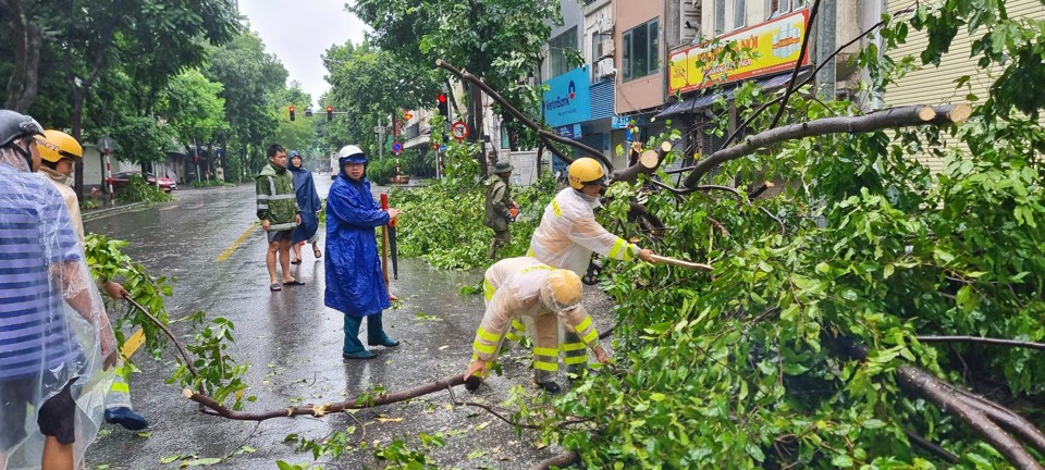 Cảnh s&aacute;t dọn dẹp c&acirc;y xanh đổ g&atilde;y khu vực phố Thợ Nhuộm -Trần Hưng Đạo.