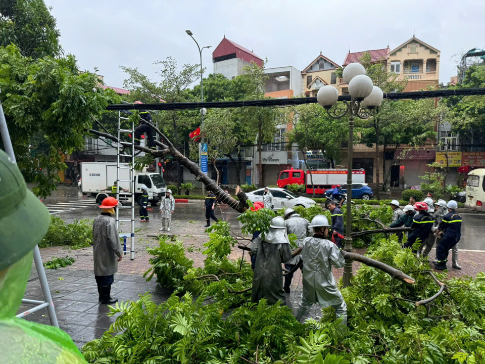 Hầu hết số lượng c&acirc;y xanh bị đổ đ&atilde; được cắt tỉa, di chuyển, đảm bảo an to&agrave;n đi lại cho Nh&acirc;n d&acirc;n.